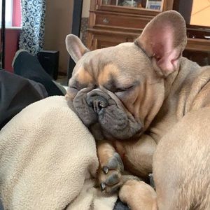 Meet your Posher, Spencer